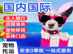 郑州空运国际宠物托运 【国